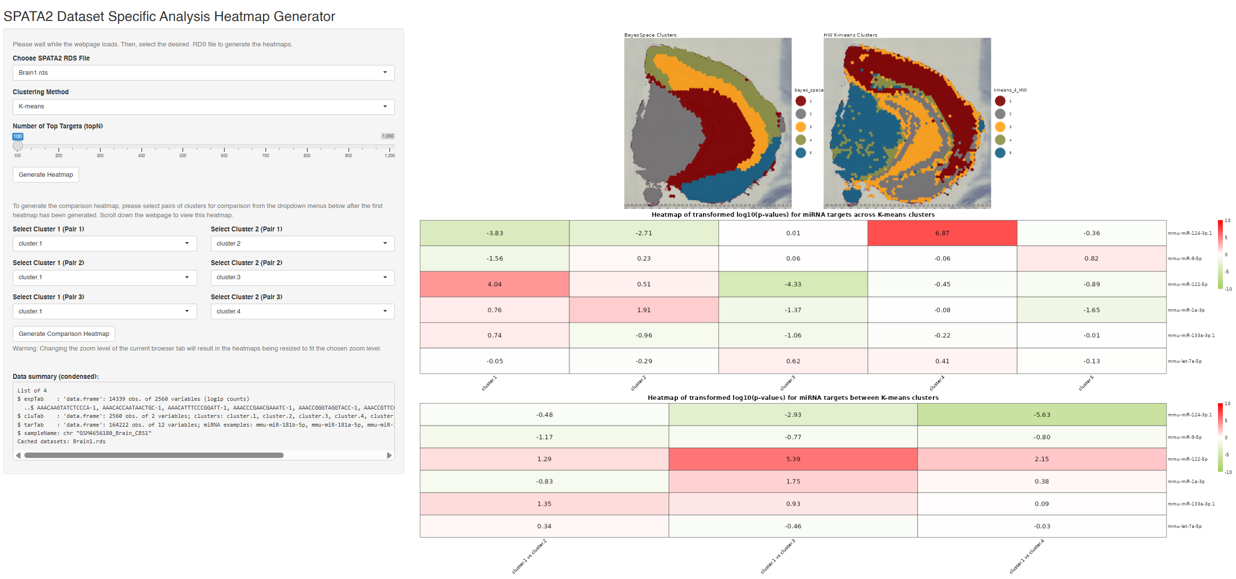 Preview of SPATA2 Dataset Specific Analysis Heatmap Generator (R Shiny)